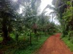 Land for sale in hanwella