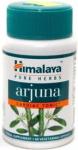 Terminalia arjuna lowering cholesterol blood pressure reme