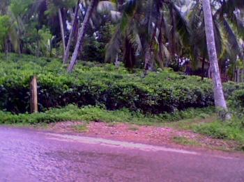 sri lanka