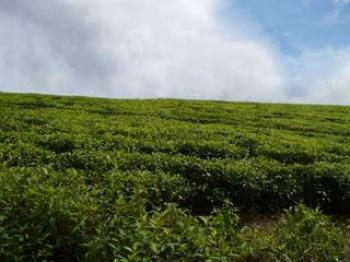 sri lanka