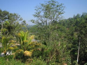 sri lanka