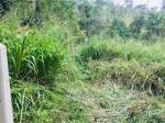 Land in gampola