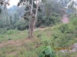 Land for sale in moratuwa facing to bolgoda river