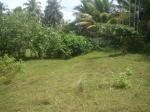 160 perch land horana half paddy field