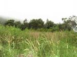 Beautiful land for sale in belihuloya