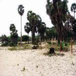 Land for sale at kalpitiya