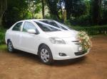 Super conditioned toyota excellent white car for wedding hires