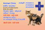 Animal clinic uayanwatta menikhinna kirimatiya road