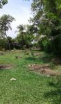 Bare land for sale in katunayake kalahapitiya road