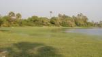 50 acres cultivated land iyakkachi junction