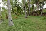Valuable land for sale homagama diyagama