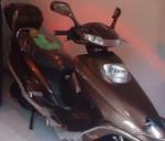 Amur leopard ydb 2013 electric scooter