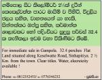 Gampola land for sale keselwatte road sinhapitiya