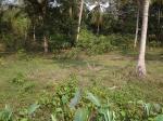 74 perch land for sale in govinna horana