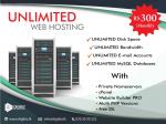 Digibiz cheapest unlimited web hosting service