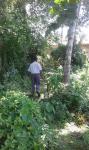 72 perches coconut plantation waligama galle matara rd
